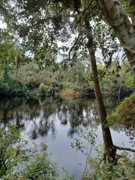 Suwannee Riverfront Land Opportunity