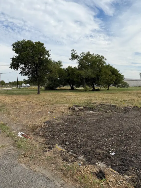 Picture 8