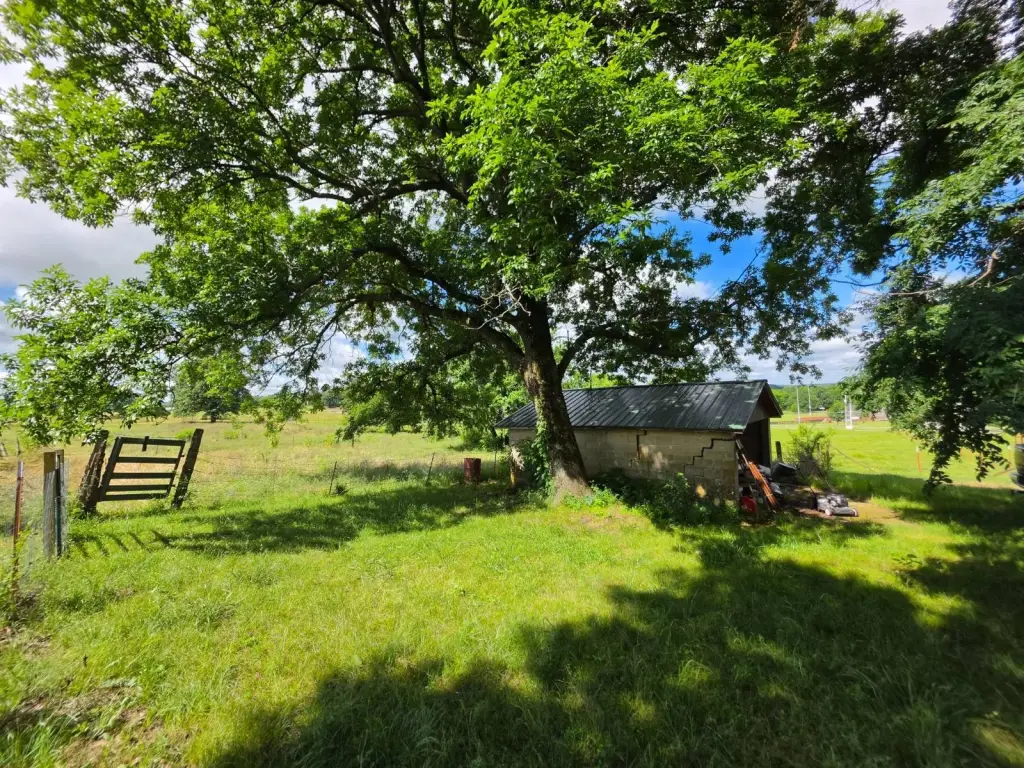 Picture 28