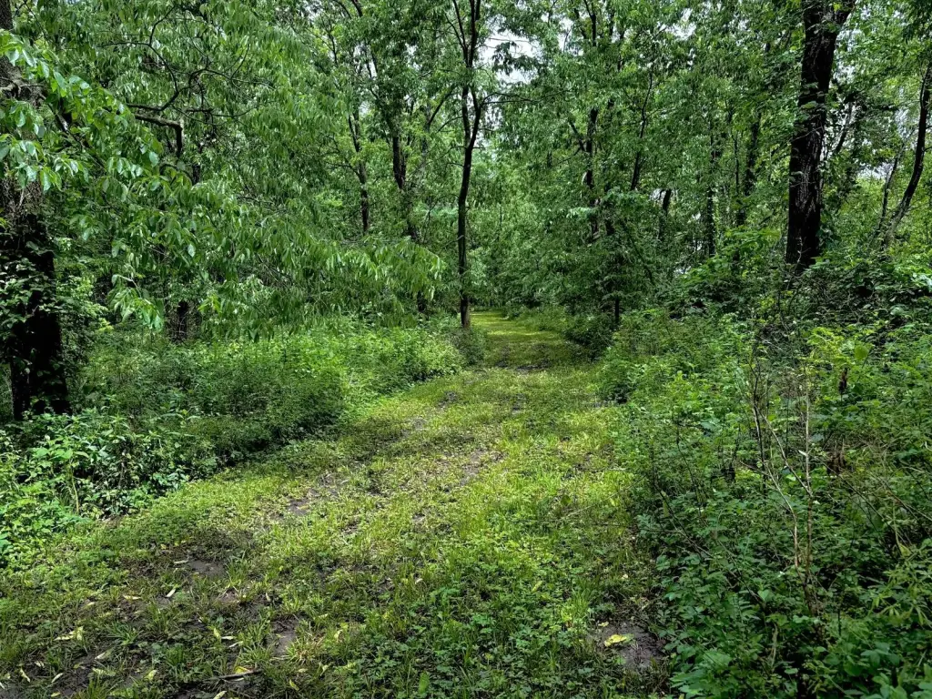 Picture 33
