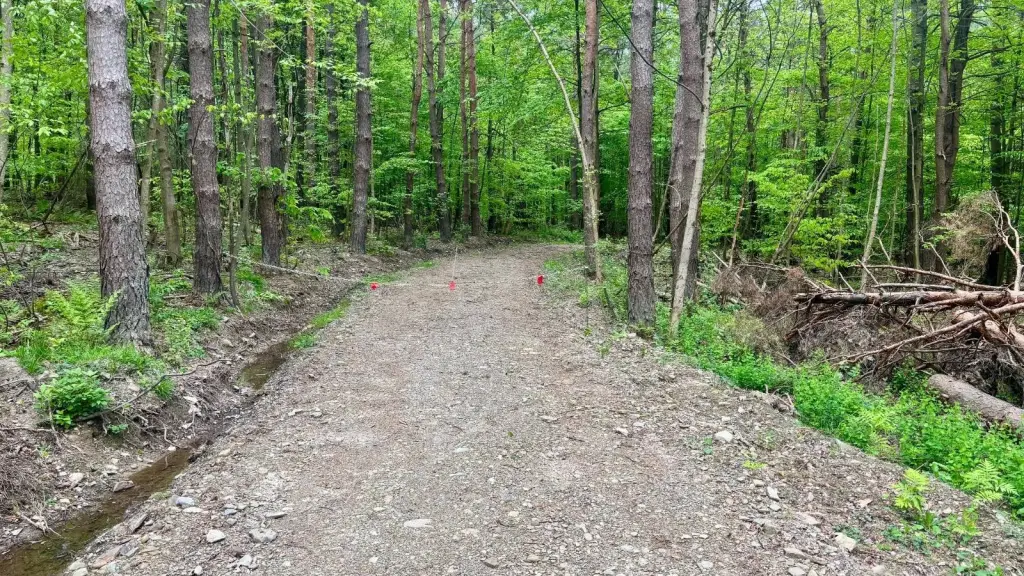 Picture 18