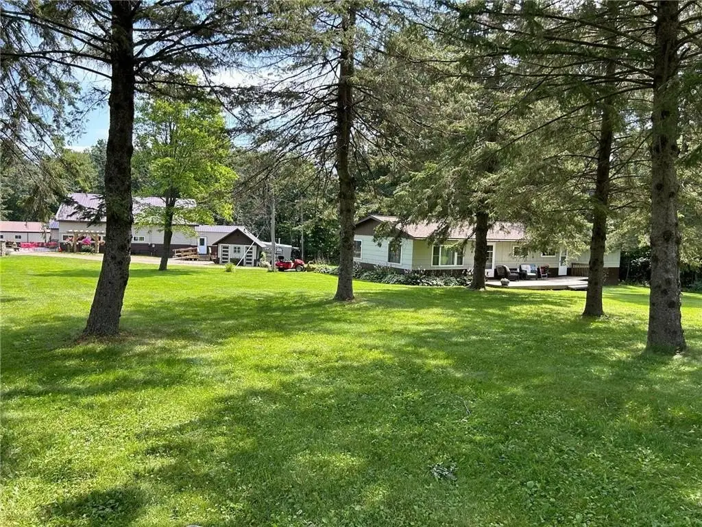 Picture 8