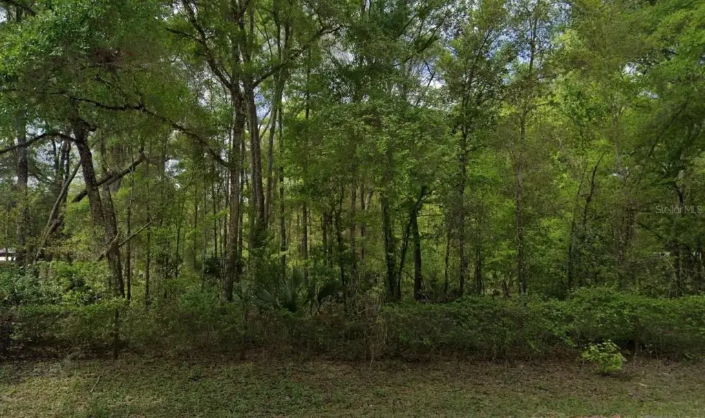Picture 2