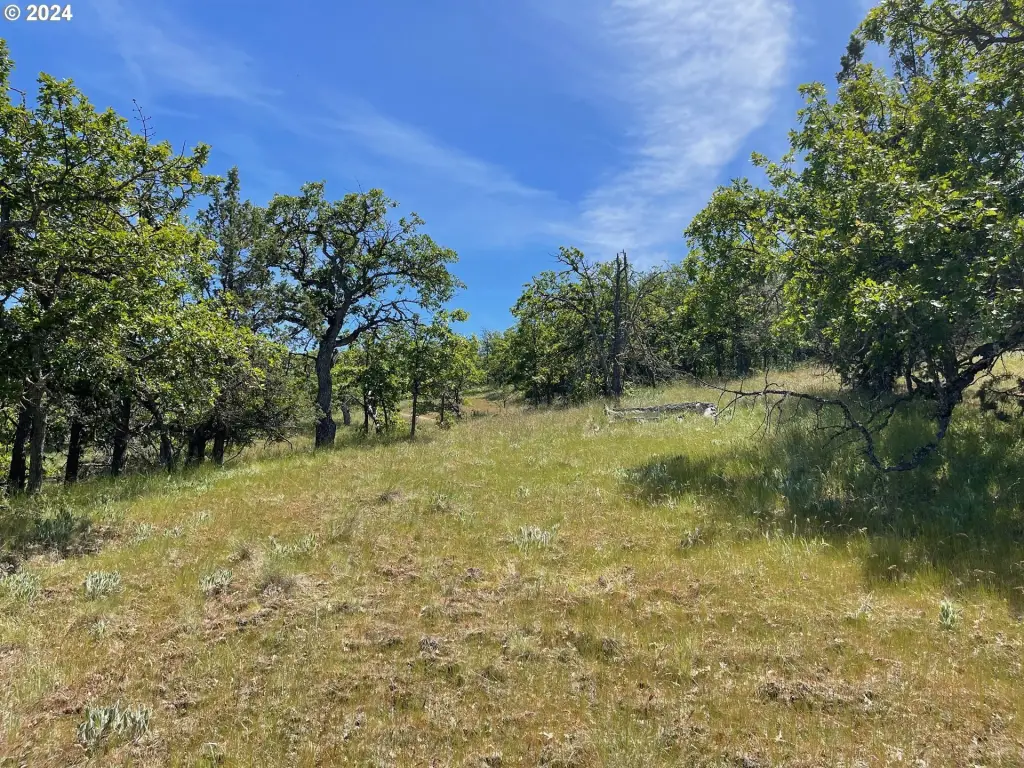 Picture 45