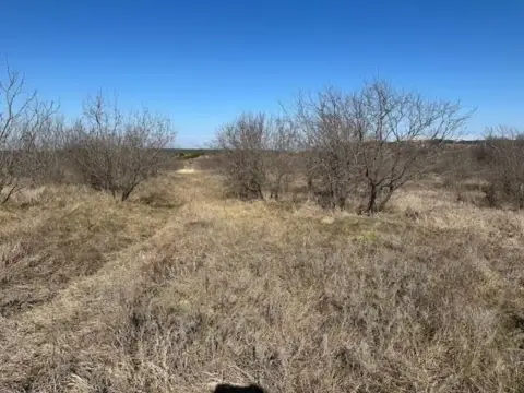 Unimproved Land in Graford, Texas
