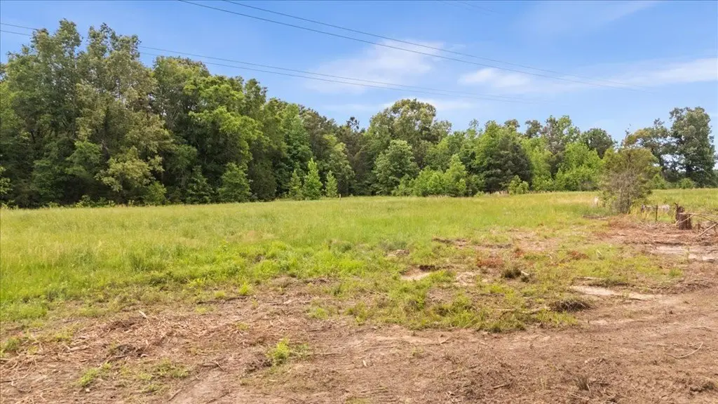Picture 18