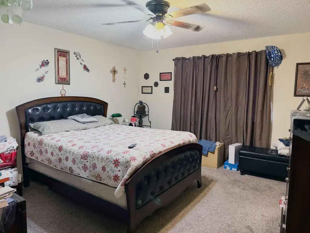 Picture 11