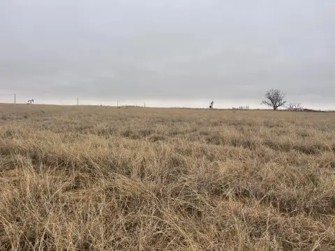 FM-597 Frontage Farmland Tract