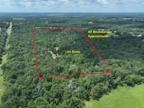 Fairfield TX Wooded Land
