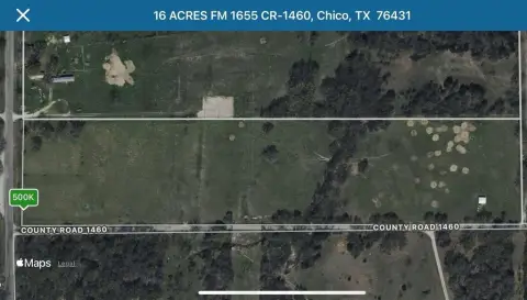16+ Acres Improved Pasture Land