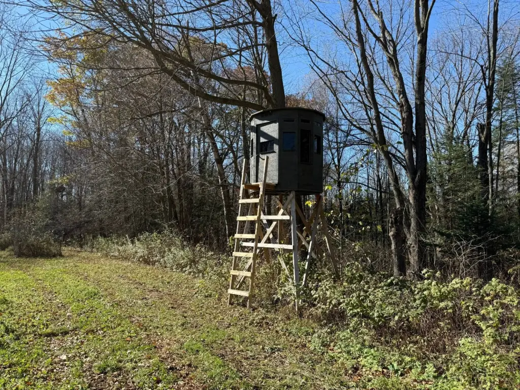 Picture 14