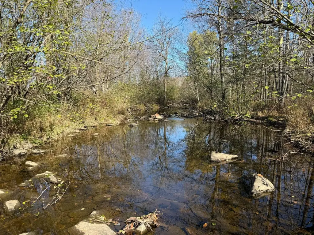 Picture 46