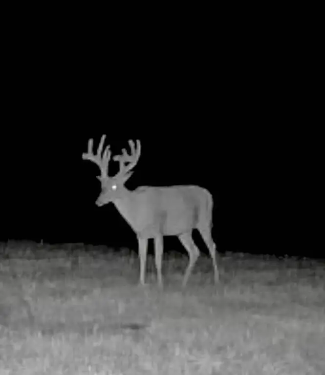 Picture 23
