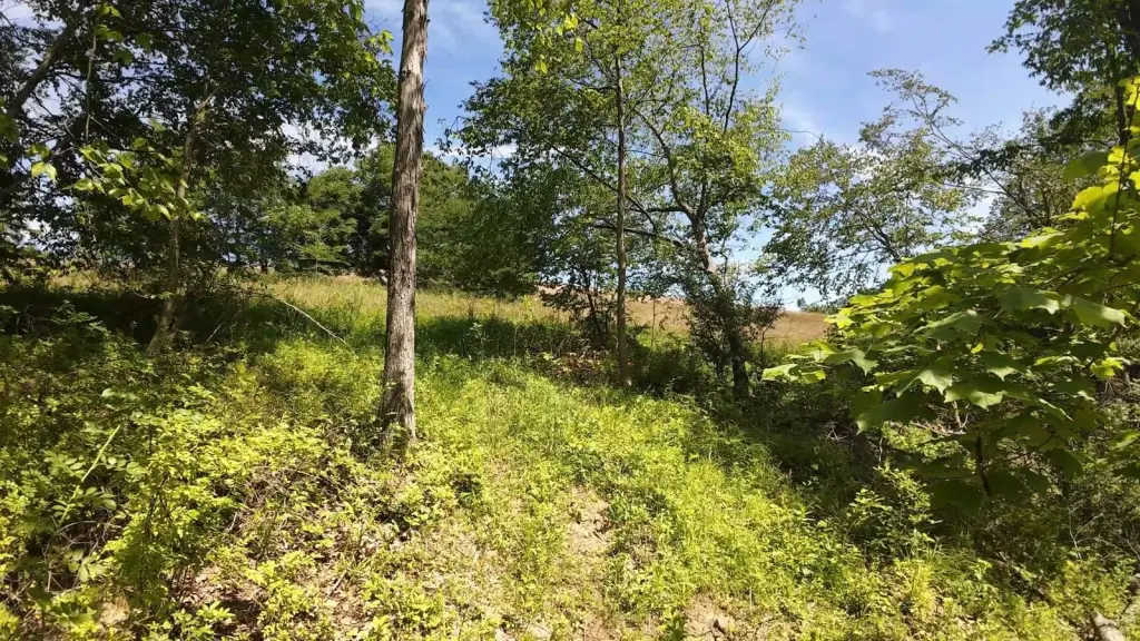 Picture 10