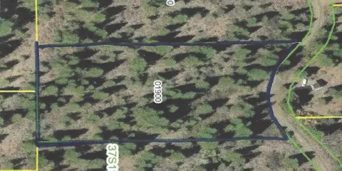 Forested Residential Lot with View