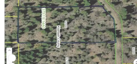 Forested Residential Land in Bonanza