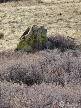Berthoud Land with Mountain Views