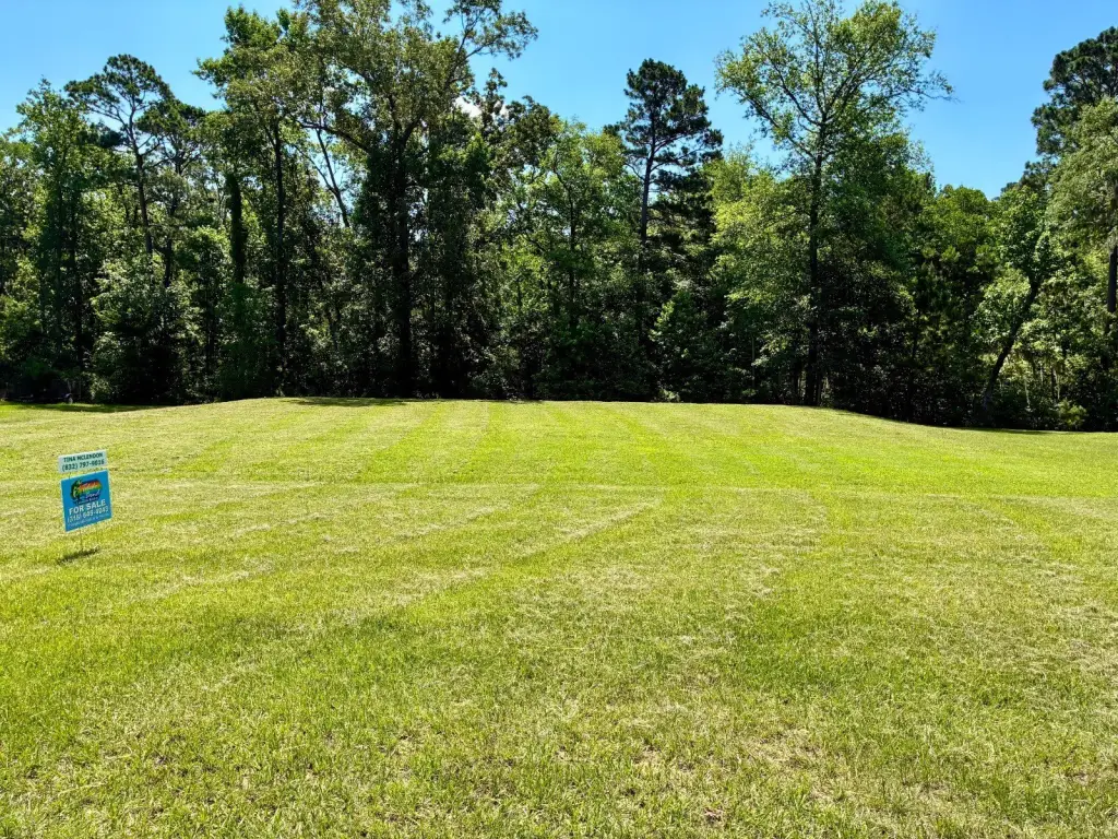Picture 2