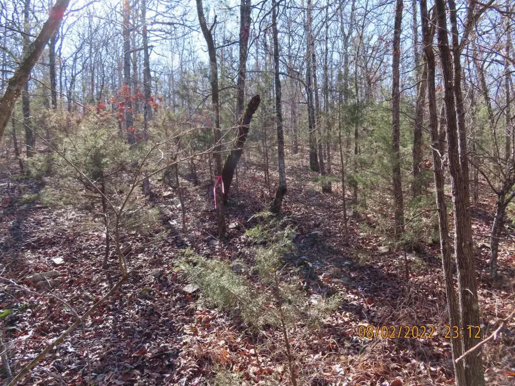 Picture 5