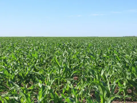 Rolette Agricultural Farmland