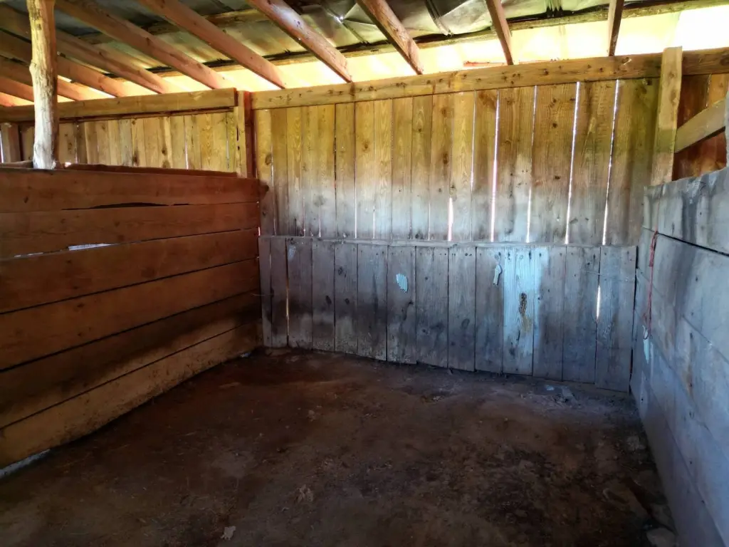 Picture 17