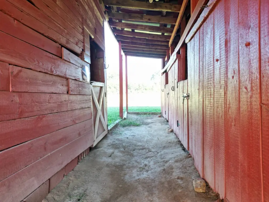 Picture 16