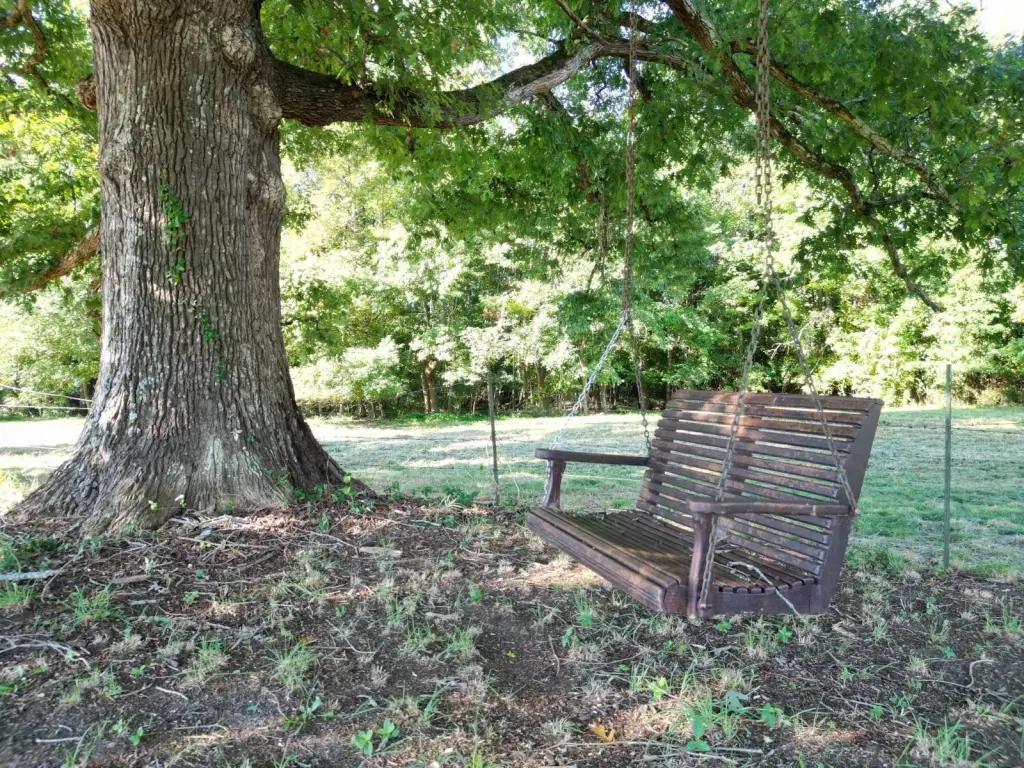 Picture 19
