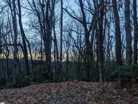 Residential Lot in Gated Community