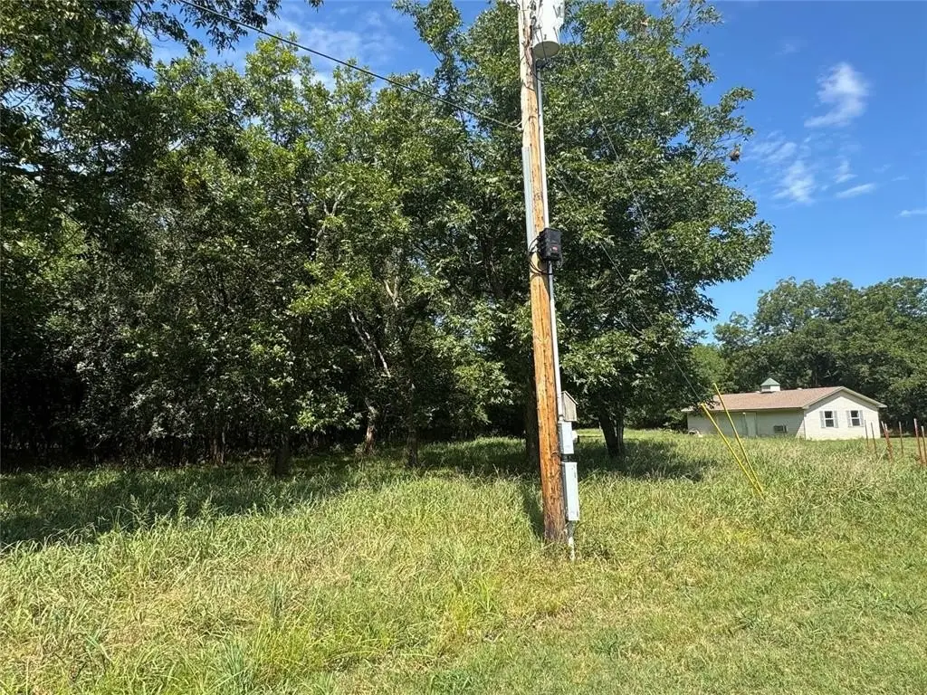 Picture 19