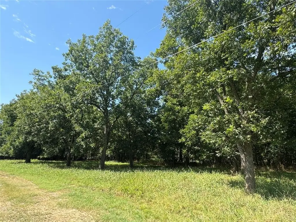 Picture 18