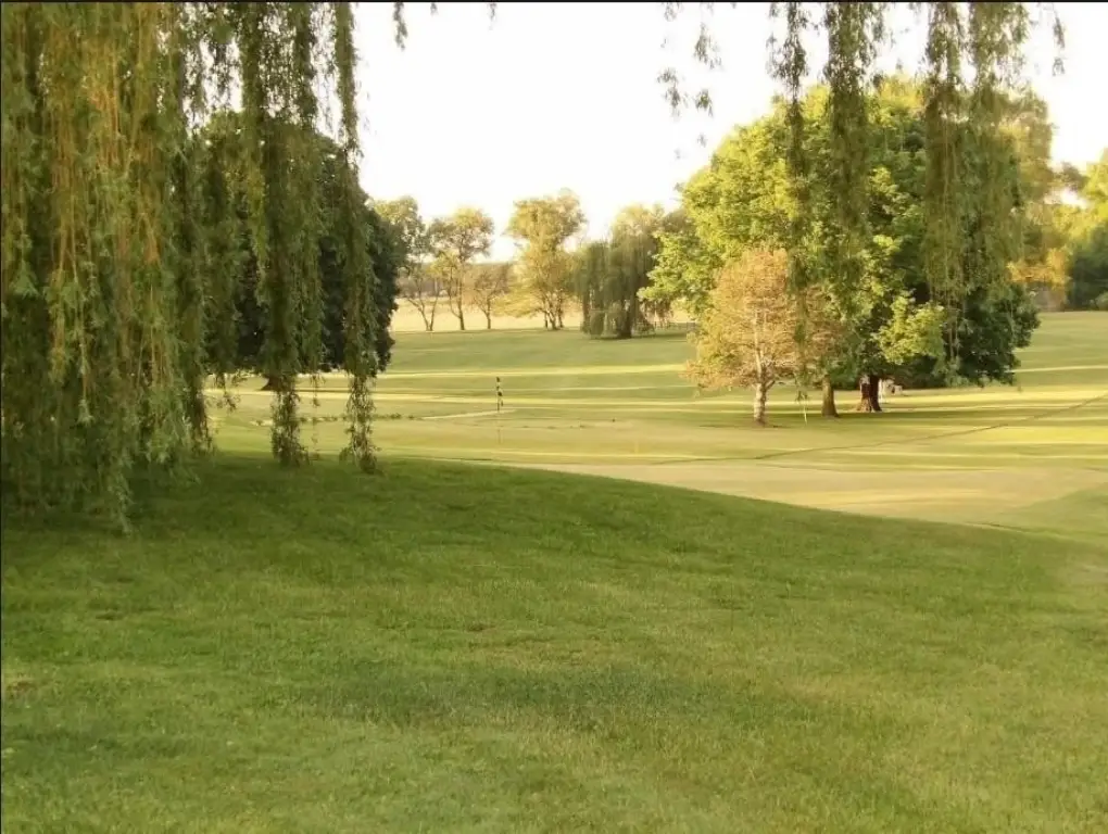 Picture 19