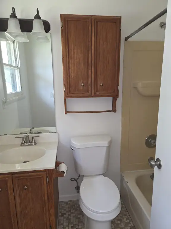 Picture 11