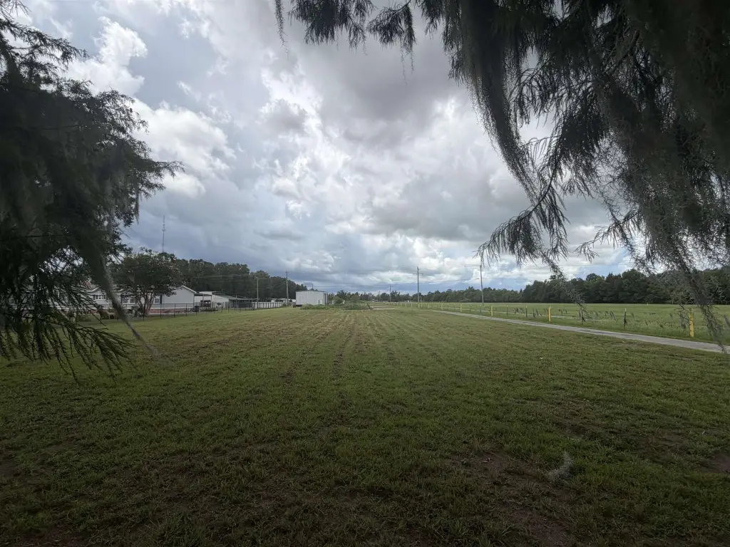 Picture 3