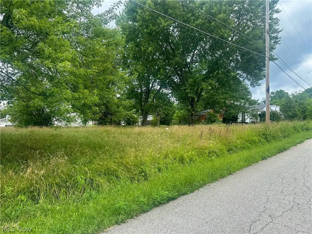 Picture 6