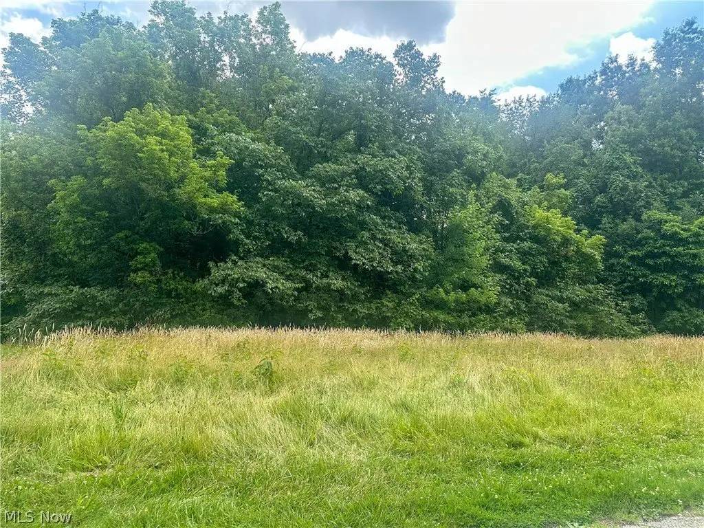 Picture 2