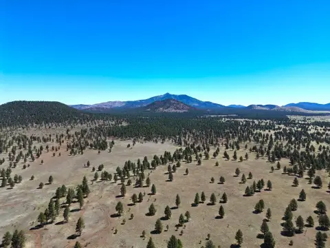 Northern Arizona Cattle Ranch