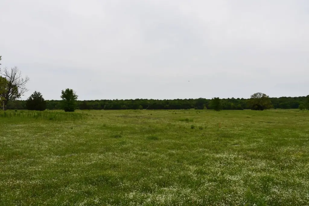 Picture 13