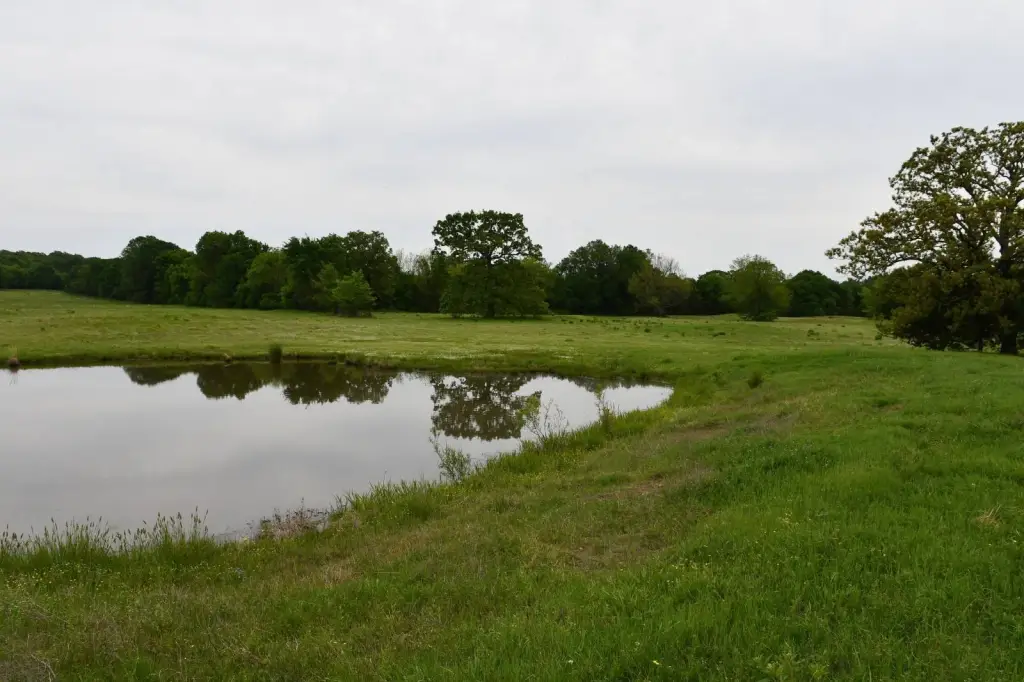 Picture 21