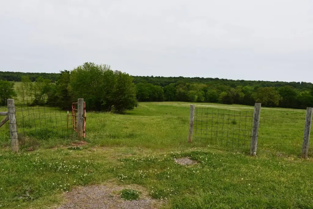 Picture 6