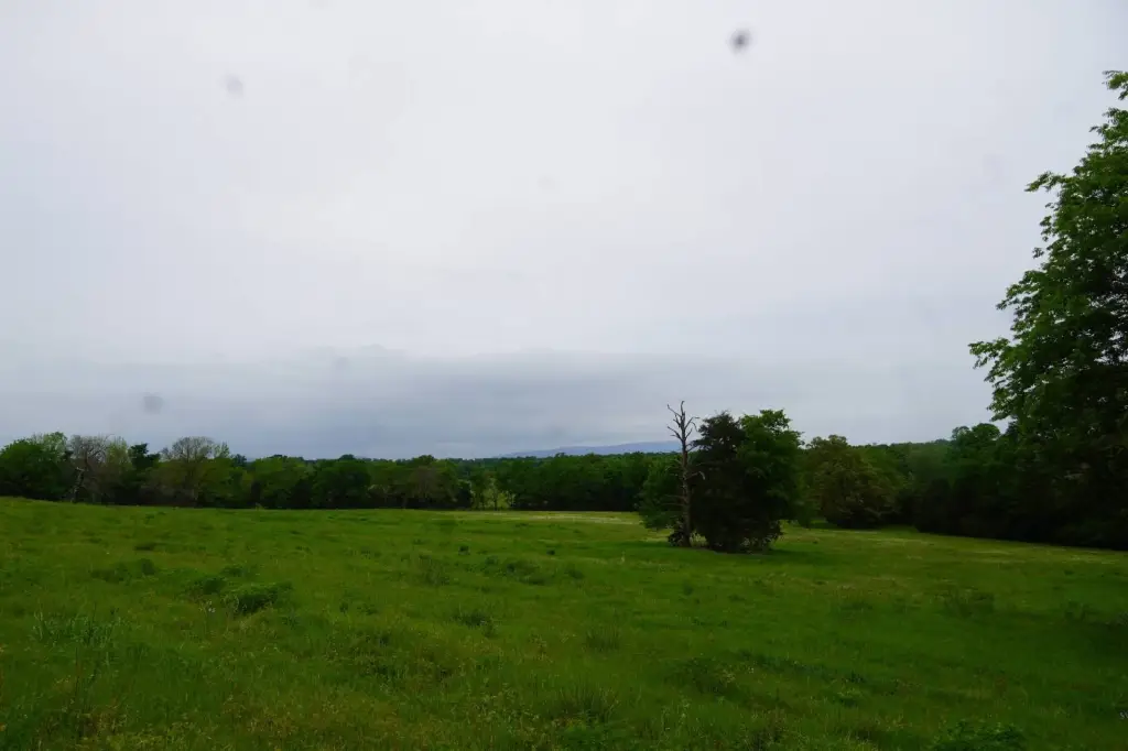 Picture 45