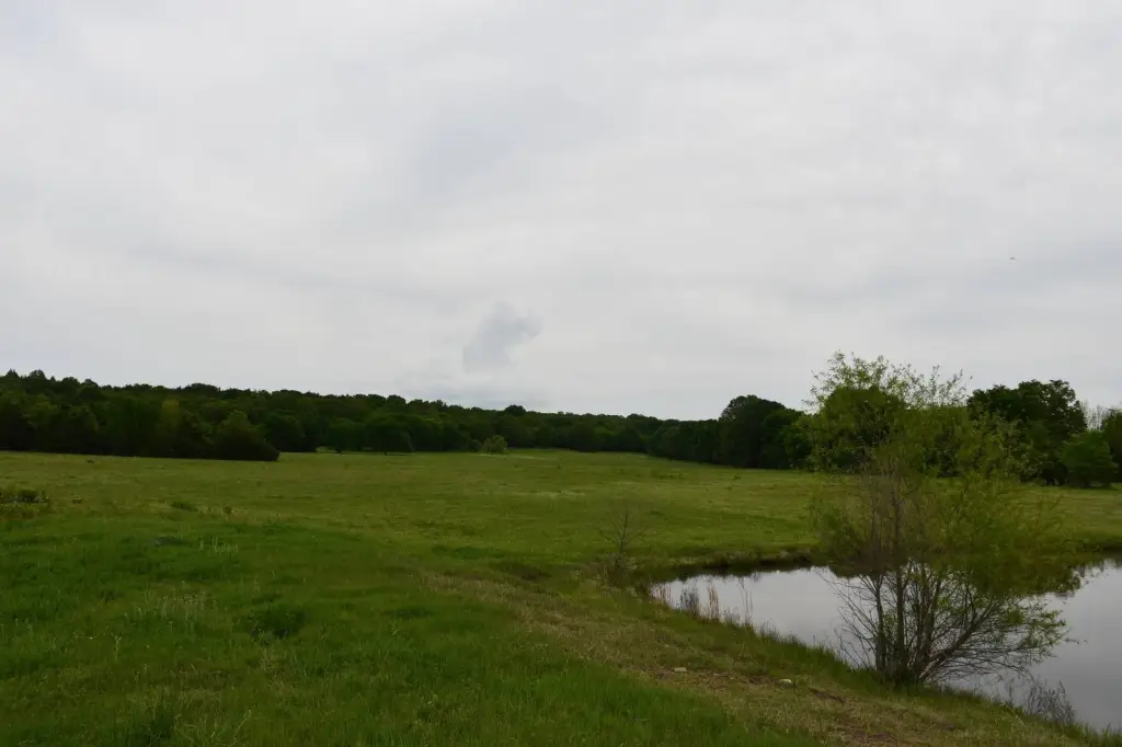 Picture 22