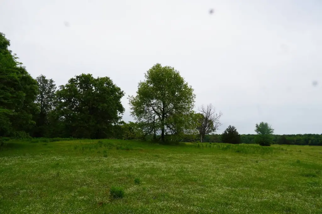 Picture 57