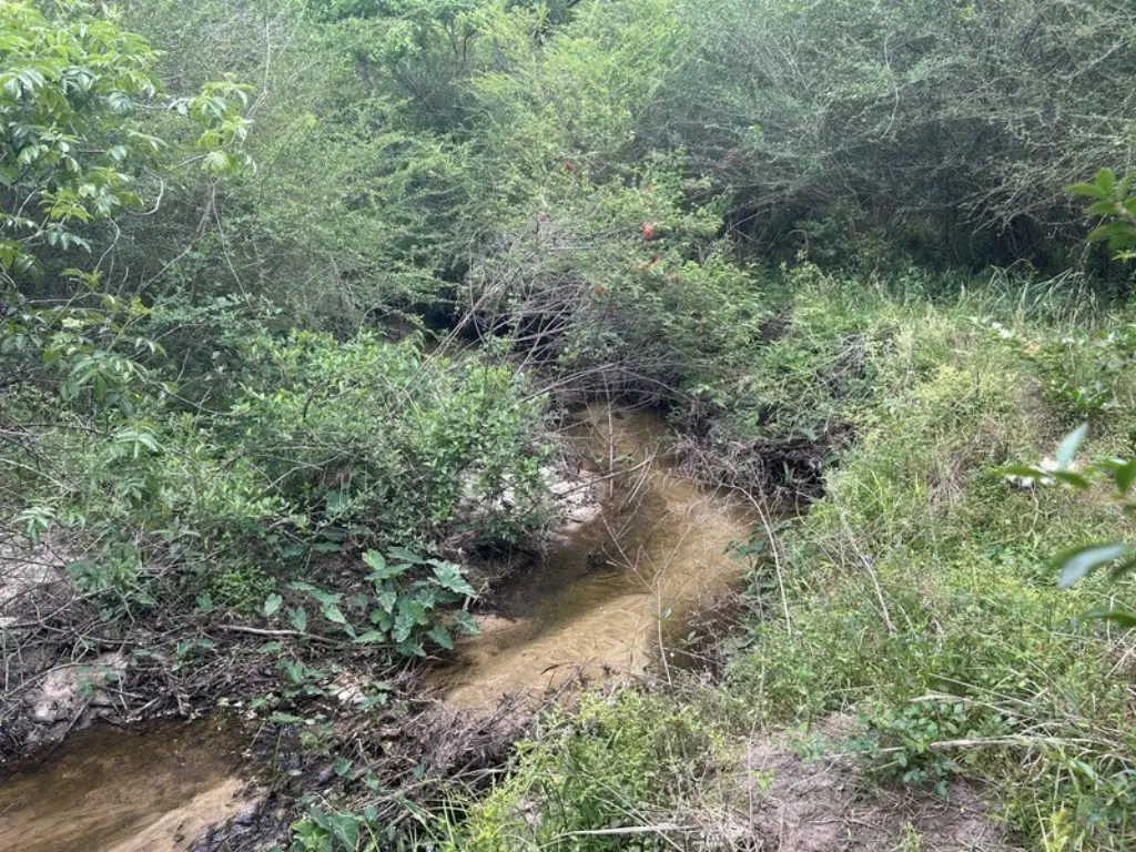 Picture 2