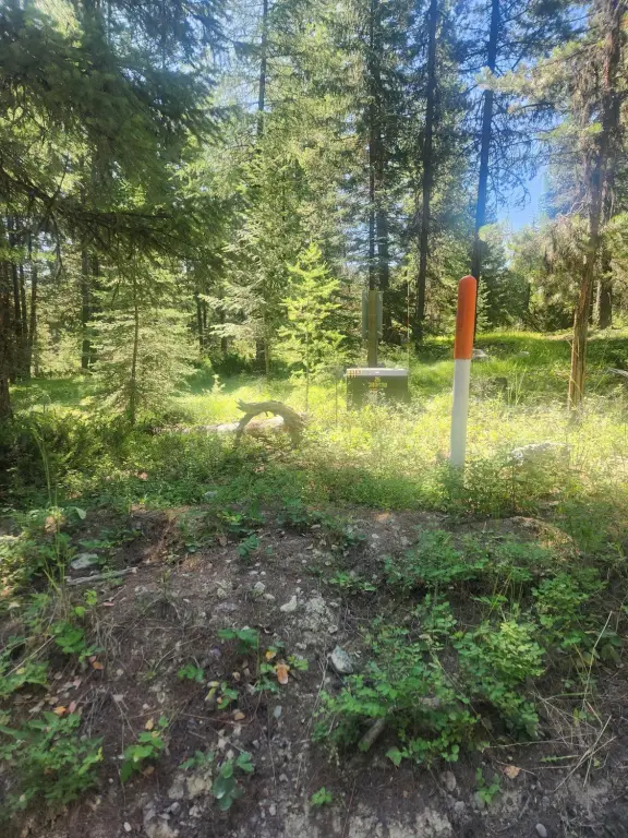 Picture 21