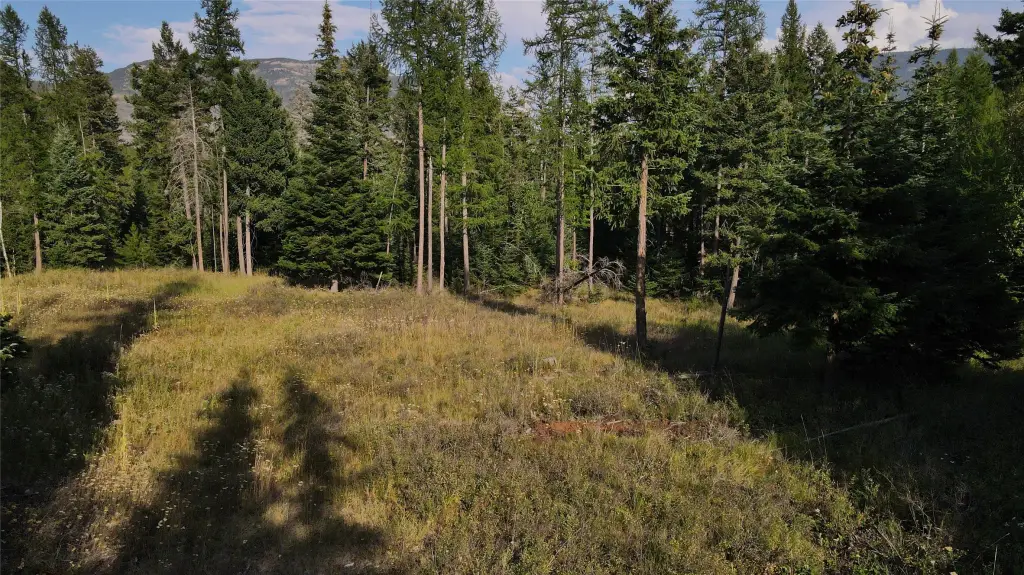 Picture 21