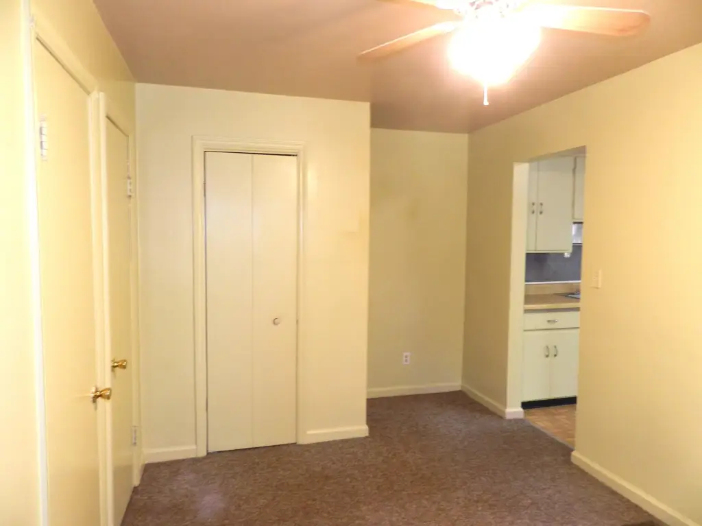 Picture 11