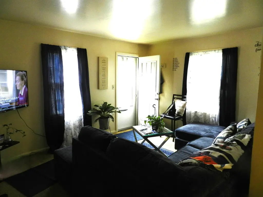 Picture 5