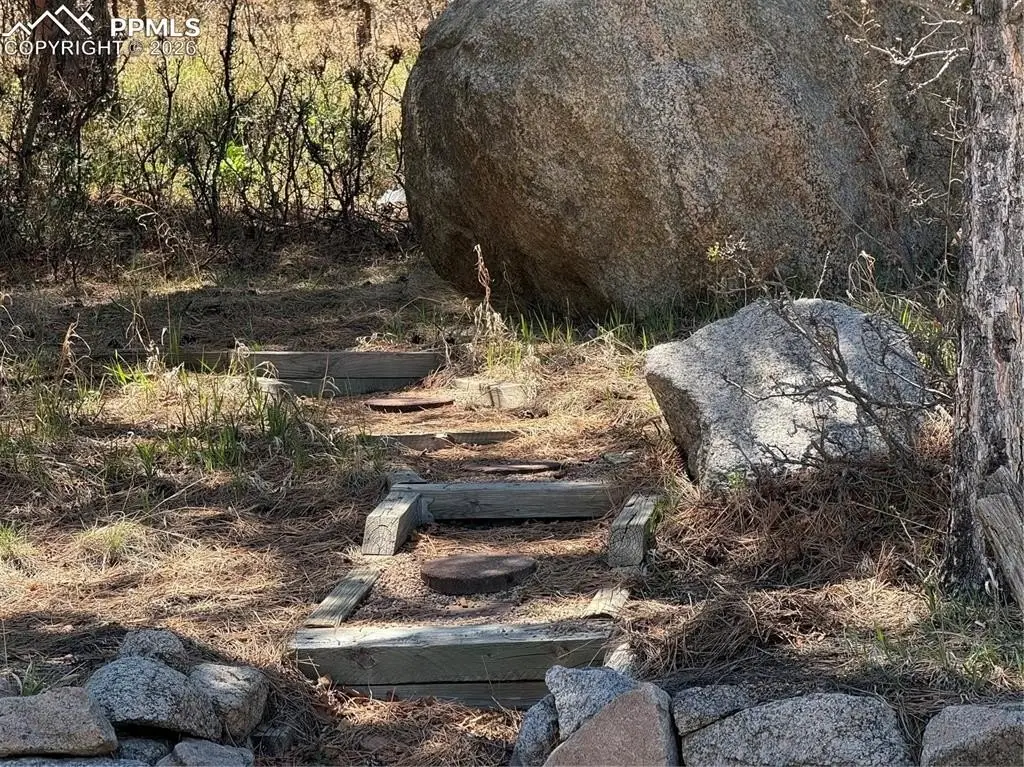 Picture 7