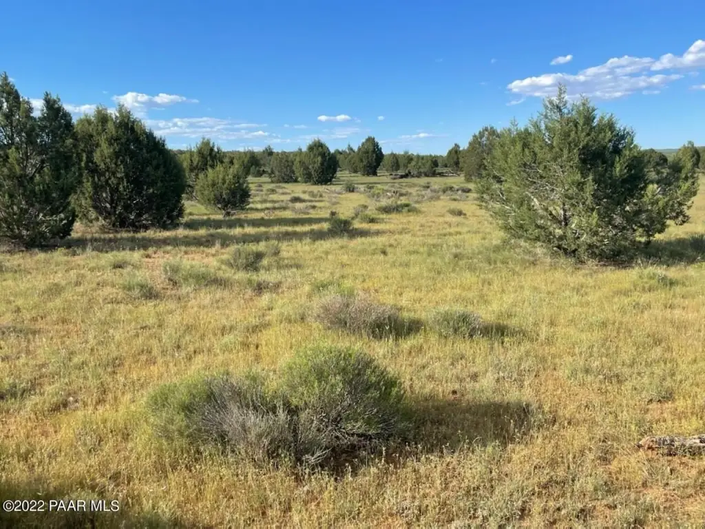 Picture 13