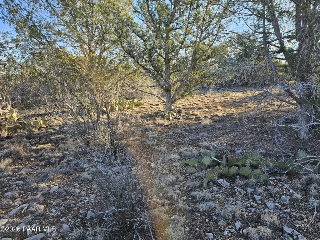Picture 10